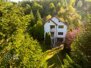 Casa de vacanta, localitatea Cladova, ideal pozitionata