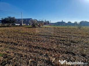 Teren 4,000mp Savinesti / Strada Gradinarilor