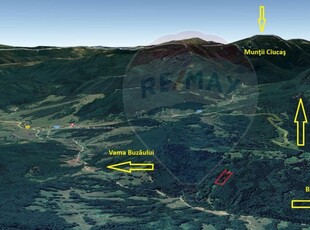 Teren 5500 mp, Valea Sasului, sat Dalghiu, com Vama Buzaului