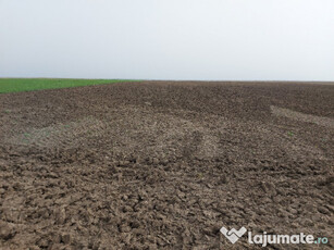 Teren agricol 50000m² soseaua Focsani