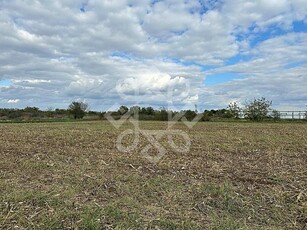 Teren de vanzare in zona industriala din Santandrei