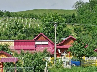 Urgent! Casa de vanzare in sat Giurgesti, com Costesti, jud. Iasi