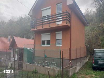 Casa cu etaj si dependinte in zona Podgoria
