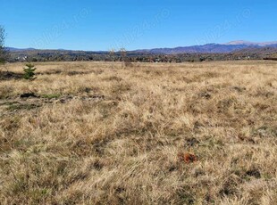 Campulung, terenuri 3400 mp Grui si 7500 mp Schitu Golesti-proprietar