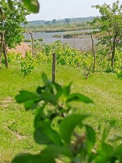 Teren intravilan de vânzare, Tulcea, Strada Orizontului (Zona Bididia), 900 mp