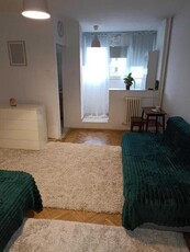 Apartament cu 1 camera, etajul 4/9, zona Tatarasi