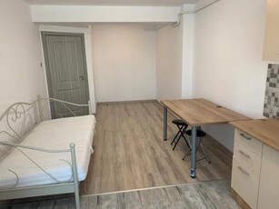 Apartament cu 2 camere, PET FRIENDLY, zona Copou