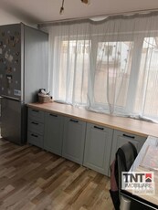 Inchiriere Apartament Alexandru Cel Bun 2 Camere