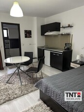 Inchiriere Apartament Centru 1 Camere