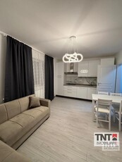 Inchiriere Apartament Nicolina 3 Camere