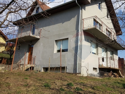 Casavila 5 camere vanzare in Cluj-Napoca, Borhanci