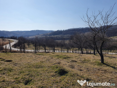 Teren Boteni, judetul Arges, 7500mp