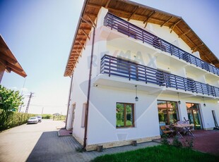 Hotelpensiune 8 camere inchiriere in Maramures, Baia Mare, Independentei