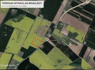 Teren intravilan 57500 mp - Mihailesti - Giurgiu