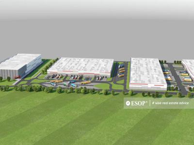 Timisoara Industrial Park hala 9