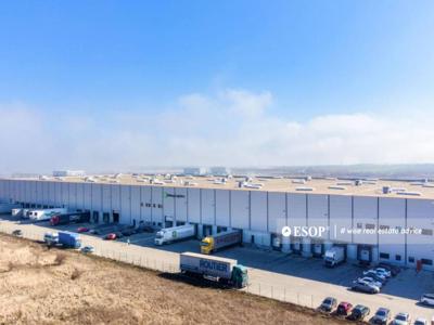 WDP Industrial Park Timisoara hala 3