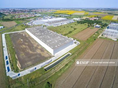 WDP Industrial Park Timisoara hala 4