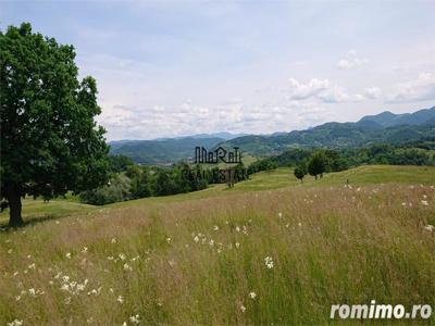 Calatorie in natura: Teren extravilan cu peisaj spectaculos disponibil spre vanzare in Brad, Hd