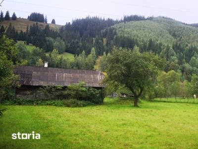 Casa pojorata si teren 3671 mp parcelat