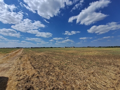 Teren Dumbraveni, Balotesti, Ilfov