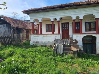 Casa Ciofrangeni ( Lacurile ).