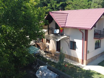 Casa de vanzare in Vernesti ( Valea Danului )