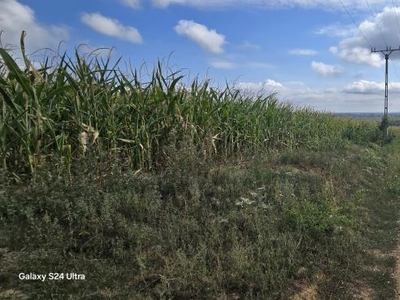 Teren drept la strada in Manastirea Doamnei