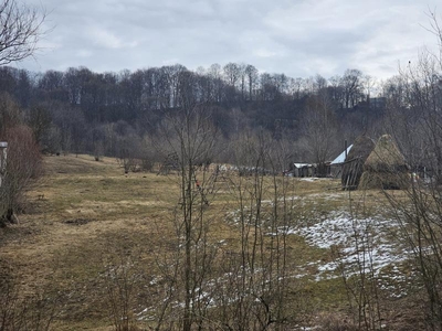 Teren Valea Iasului, Borovinesti ( 6000 mp )