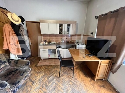 Apartament cu 1 cameră, 20 mp, decomandat, zona Strazii Anatole France