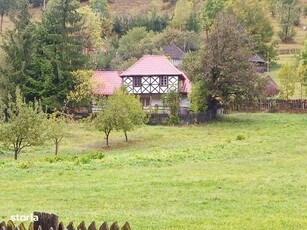 Casa de vacanta Lunca Bradului, peisaj Superb