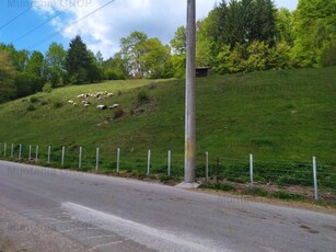 NAMAESTI - Valea Mare Pravat, 7000 mp. teren intravilan, ideal locuinta