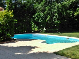 Villa, Iancu Nicolae, garden with swimming pool