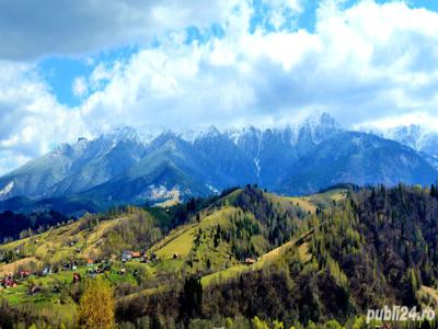 Lot de teren România, jud.Brașov, Moieciu