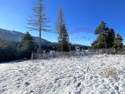 Teren de vanzare, 1000mp Poiana Brasov, Poiana Mica