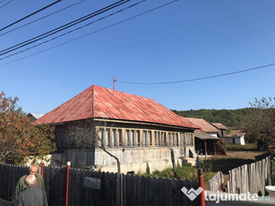 Casa batraneasca gradina teren arabil ( si padure ) Creteni - Valcea