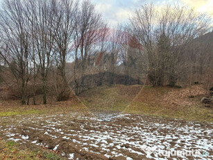 Teren 2,350mp Tarcau / Strada Cazaci , Punct Poiana Batrana