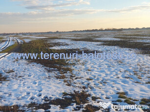 Teren Balotesti-zona centrala 70000mp