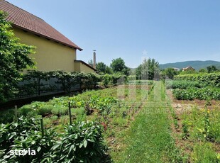 Teren intre Alba-Micesti, partea dreapta