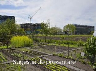 Vanzare teren constructii 0mp, Giarmata, Giarmata