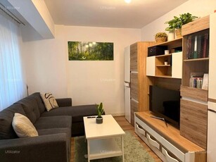 Apartament cu 1 camera, Pet Friendly, Loc Parcare disponibil, zona Bucium/Poitiers-Baroque Residence