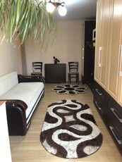 Apartament cu 1 camera, zona Alexandru Cel Bun