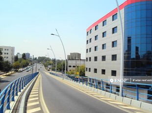 Ayash Center