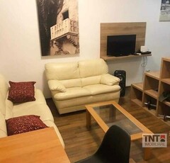 Inchiriere Apartament Centru 1 Camere