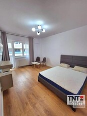 Inchiriere Apartament Podu Ros 1 Camere