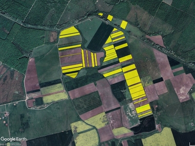 50 ha teren arabil in comuna Felnac, jud Arad