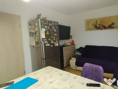 Apartament decomandat la casă, 94 mpu, strada Moldoveanu, p