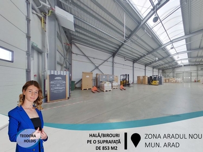 Hală de 853 m2 amplasată într-o zonă excelentă, în Aradul Nou