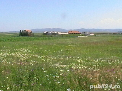 Teren cu deschidere la DN 7 ,Aurel Vlaicu,Jud HUNEDOARA