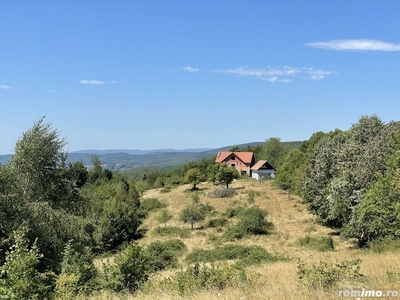 Teren Extravilan în mijlocul naturii.