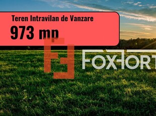 Teren intravilan de vanzare in Sacalaz - Pretabil constructii